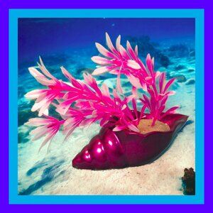 Aquarium Decoration Golden Pink Long Shell with Pink and Green Plant.